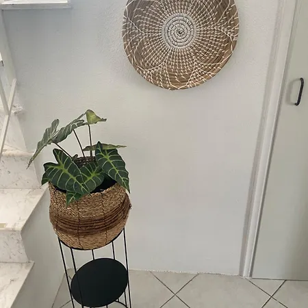 Olivia Sea Side House Σπίτι διακοπών *