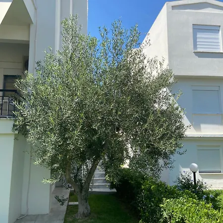 Olivia Sea Side House