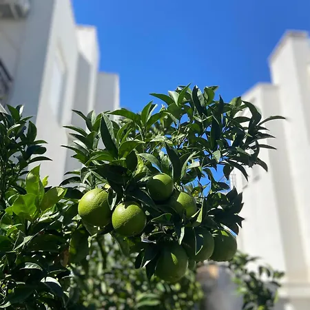 Olivia Sea Side House Σπίτι διακοπών Χανιώτη