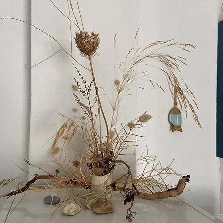 Olivia Sea Side House