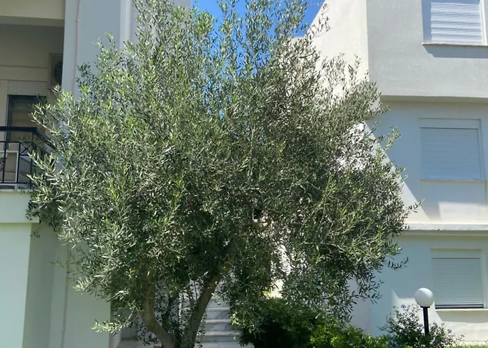 Olivia Sea Side House