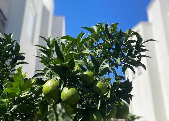 Olivia Sea Side House Nyaraló Hanióti