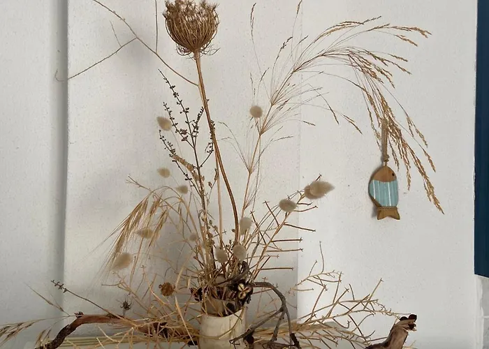 Olivia Sea Side House